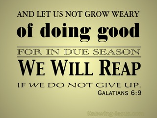 Galatians 6:9 Don't Grow Weary Of Doing Good (gold)